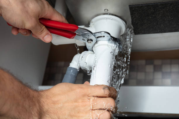 Best Water damage cleanup near me  in Brunswick, MD
