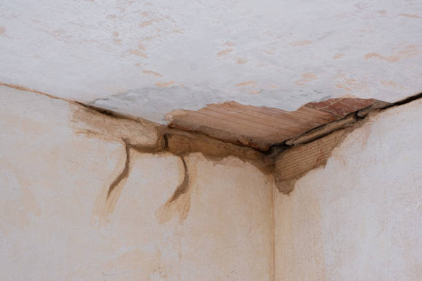 Best 24-hour water damage restoration  in Brunswick, MD
