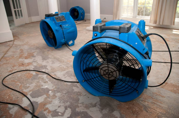 Best Emergency water damage restoration  in Brunswick, MD