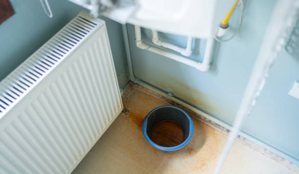 Best Water damage restoration near me  in Brunswick, MD