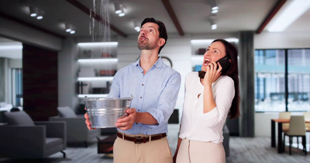 Best Local water damage restoration  in Brunswick, MD
