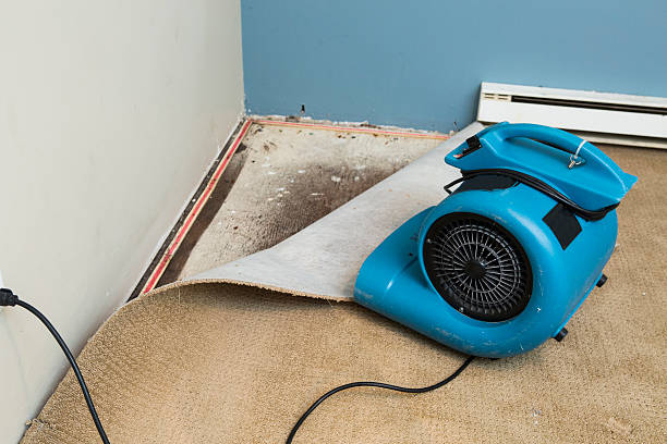 Best Flooded house restoration  in Brunswick, MD